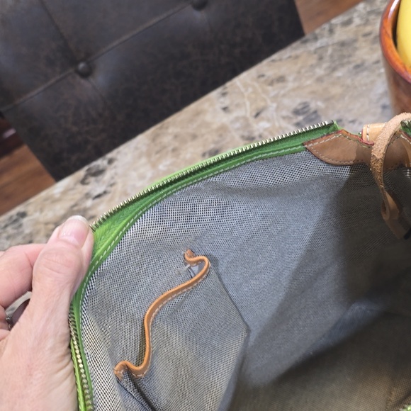 Dooney & Bourke Green and Tan Satchel